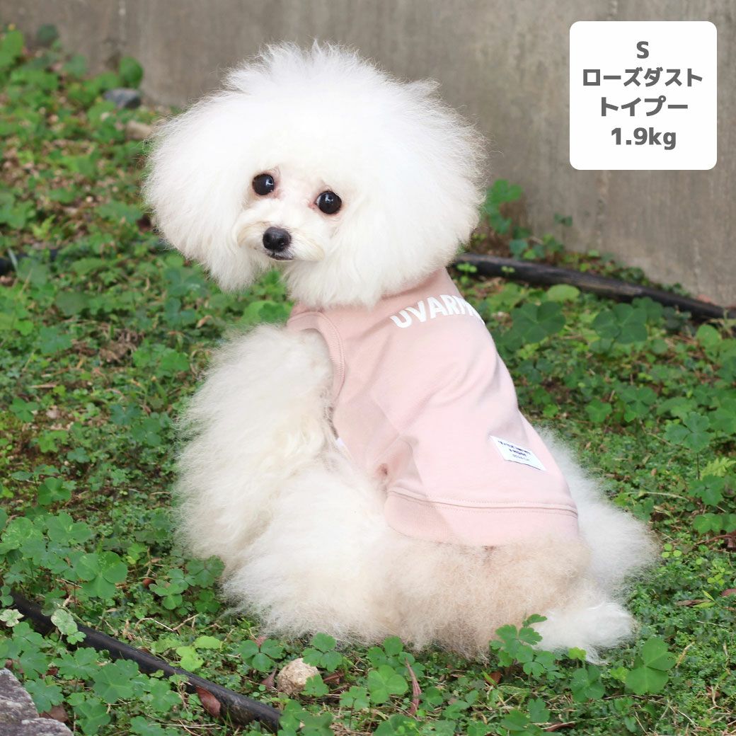 トイプー1.9kg(首17/胴29/丈22cm)のメリナちゃんはローズダストのSを着用