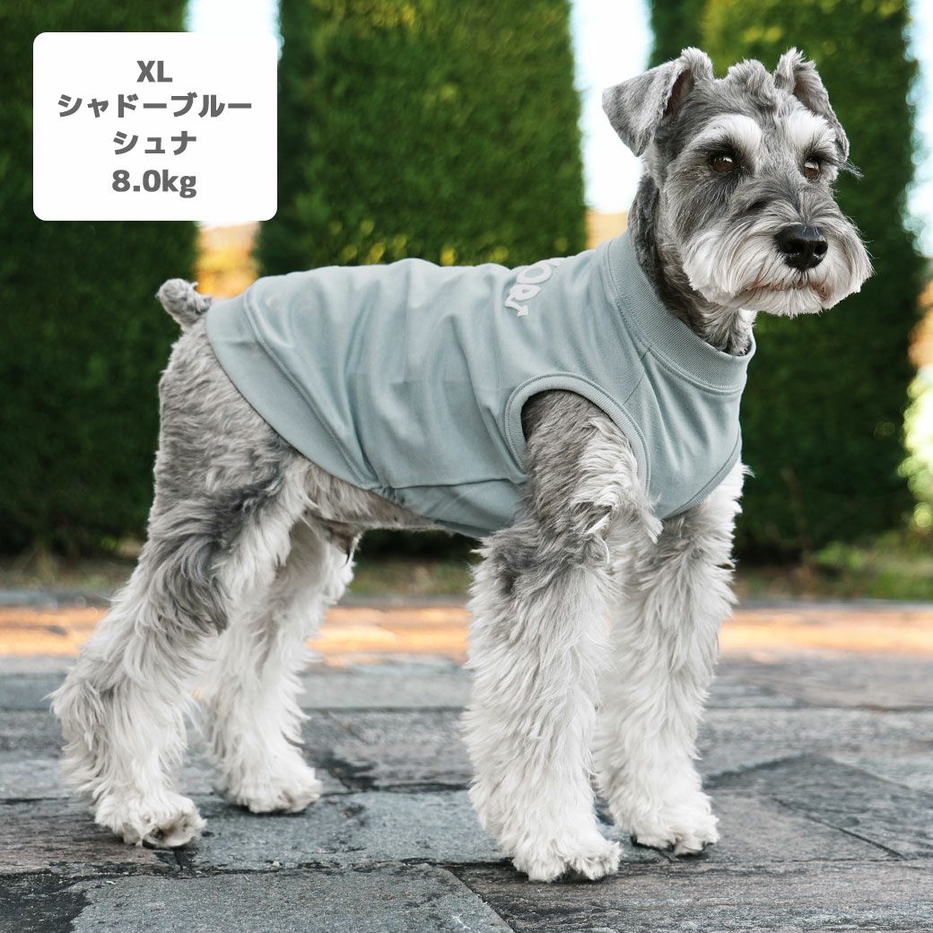 ミニチュアシュナウザー8.0kg(首30/胴48/丈37cm)のマハロくんはシャドーブルーのXLを着用