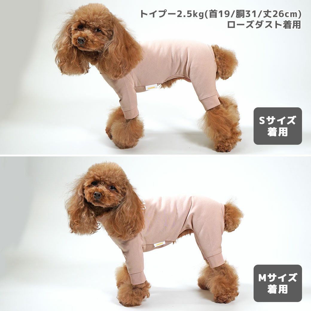トイプー2.5kg(首19/胴31/丈26cm)のグミちゃんはローズダストのSまたはMを着用