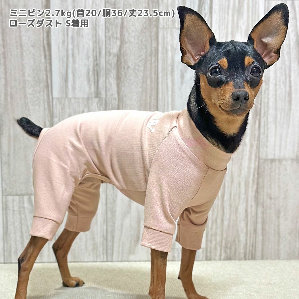 ミニピン2.7kg(首20/胴36/丈23.5cm)のルナちゃんはローズダストのSを着用