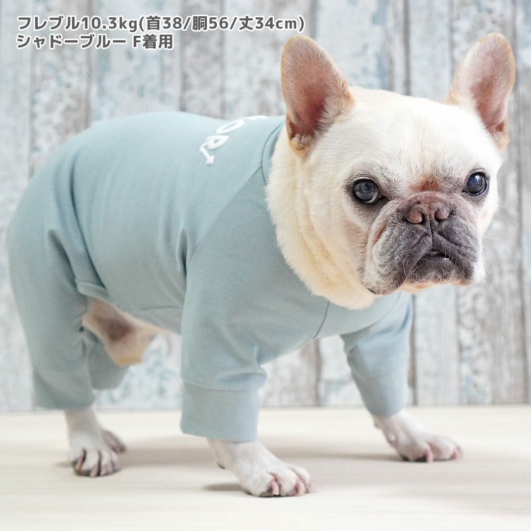フレブル10.3kg(首38/胴56/丈34cm)のブランくんはシャドーブルーのFを着用