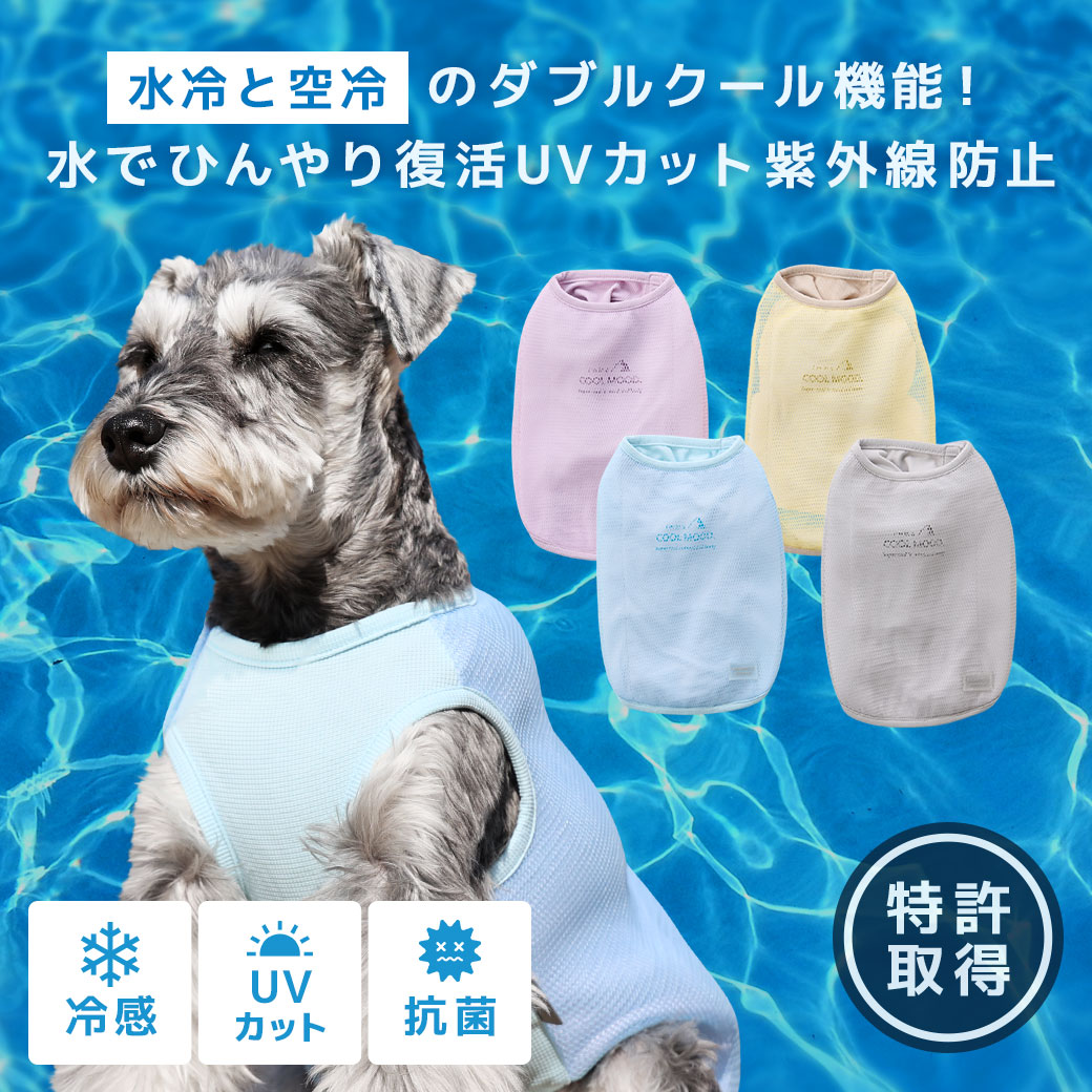 全４カラー