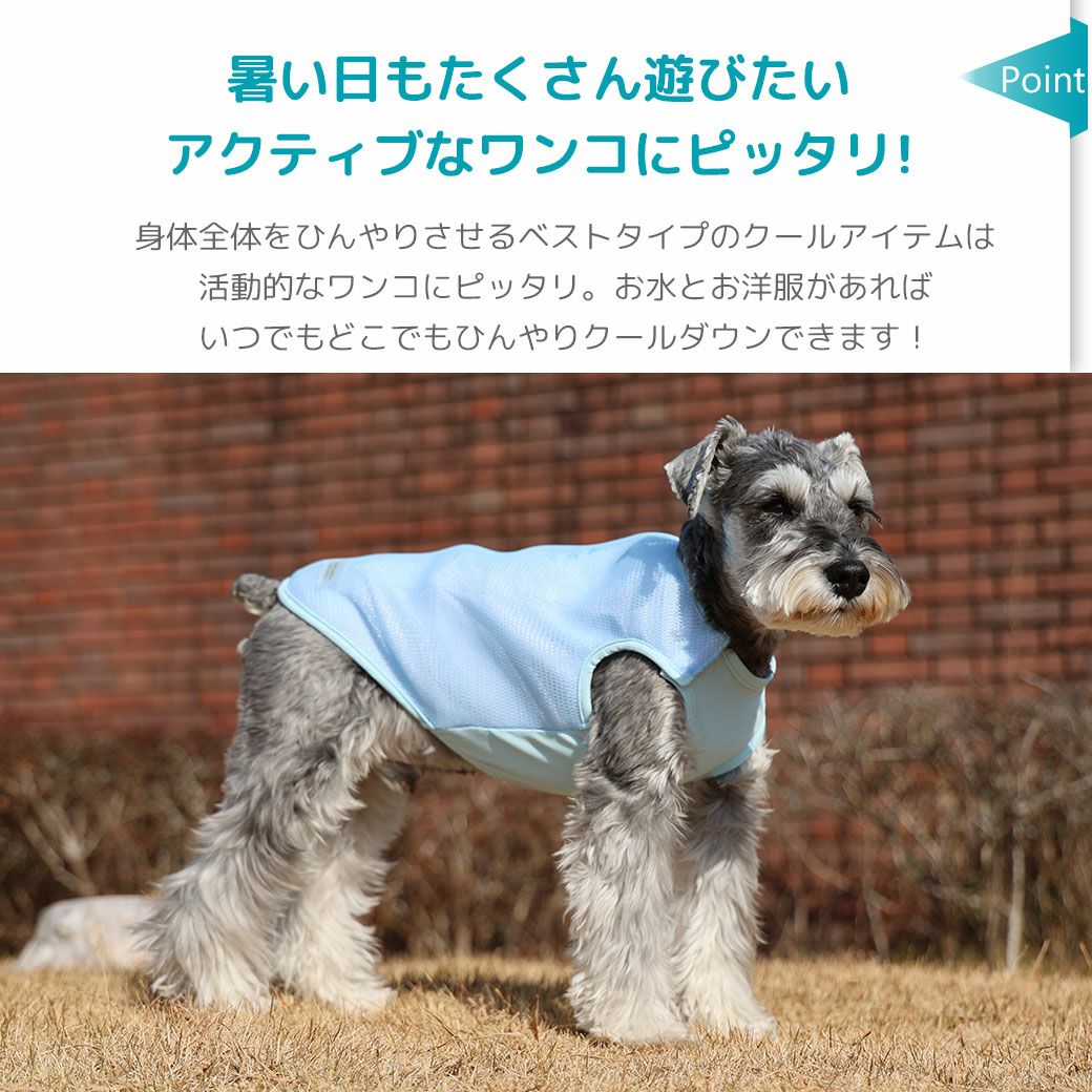 暑い日もたくさん遊びたいアクティブなワンコにピッタリ