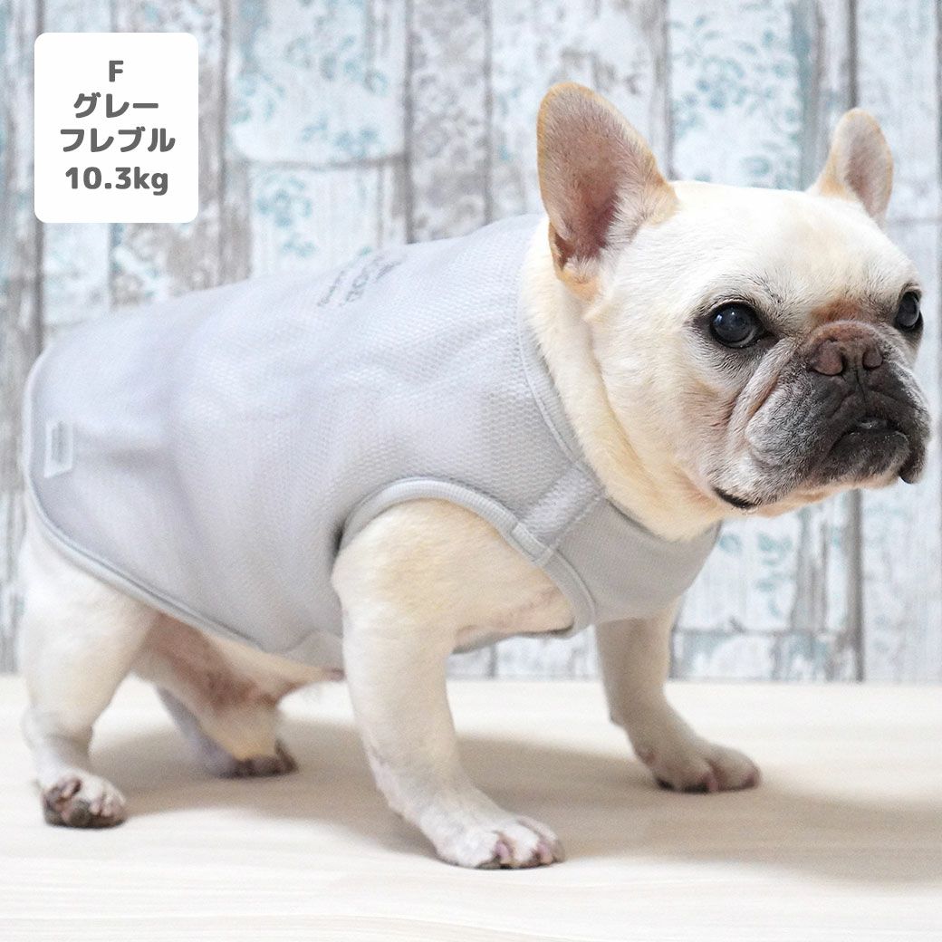フレブル10.3kg(首38/胴56/丈34cm)のブランくんはグレーのFを着用