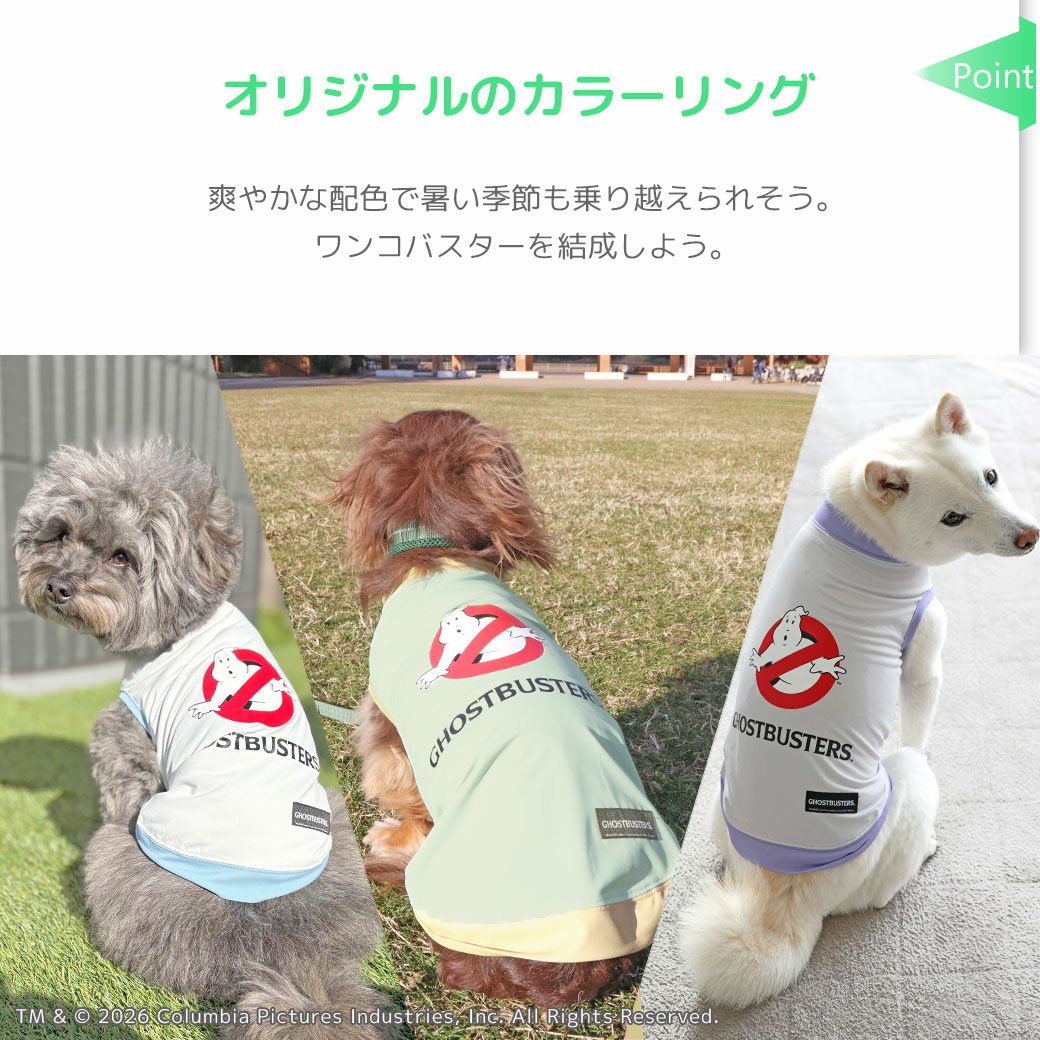 iDogオリジナルのカラーリング