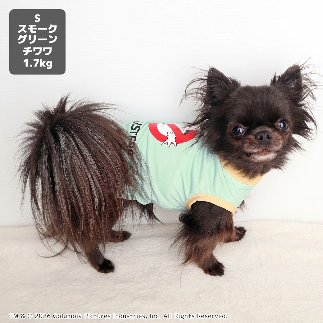 チワワ1.7kg(首19/胴28.5/丈21cm)の小桃ちゃんはスモークグリーンのSを着用