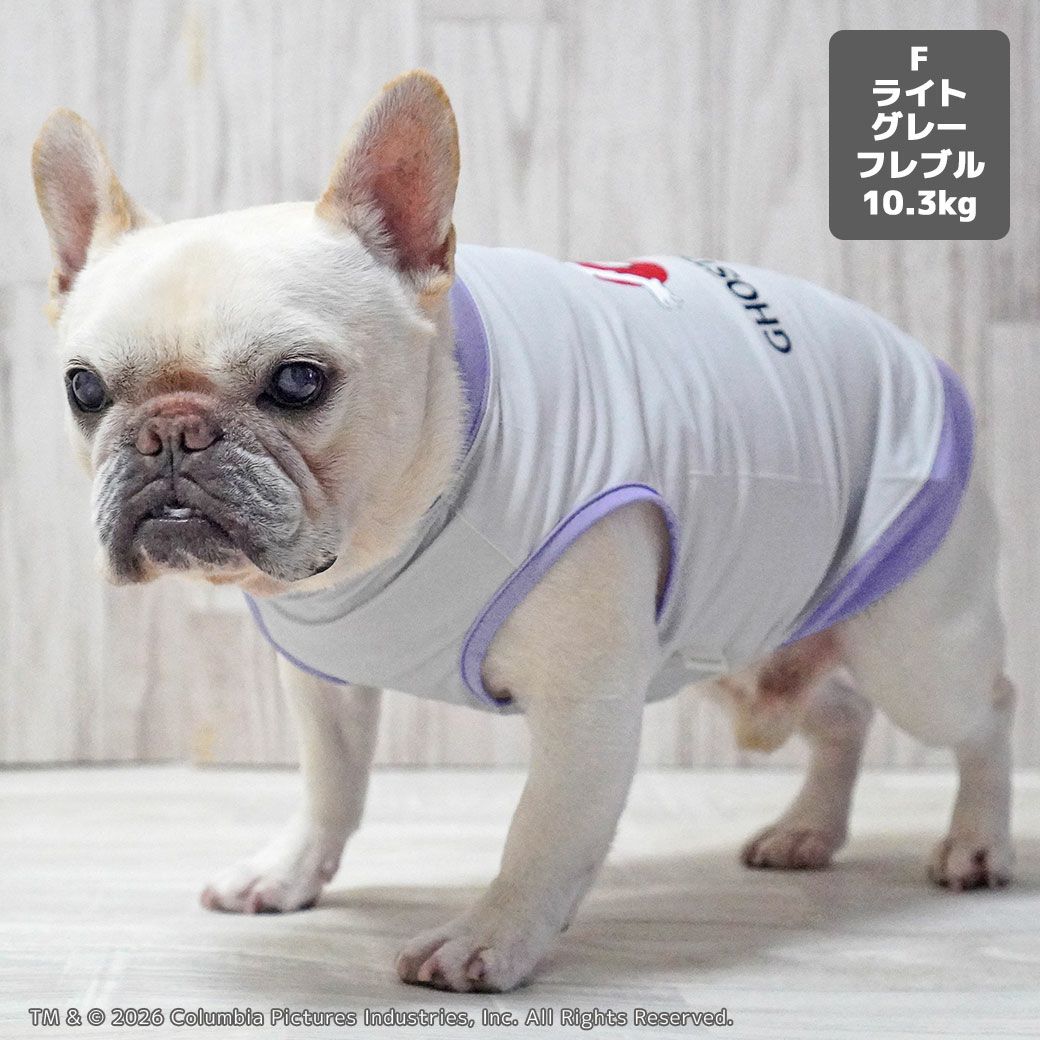 フレブル10.3kg(首38/胴56/丈34cm)のブランくんはライトグレーのFを着用