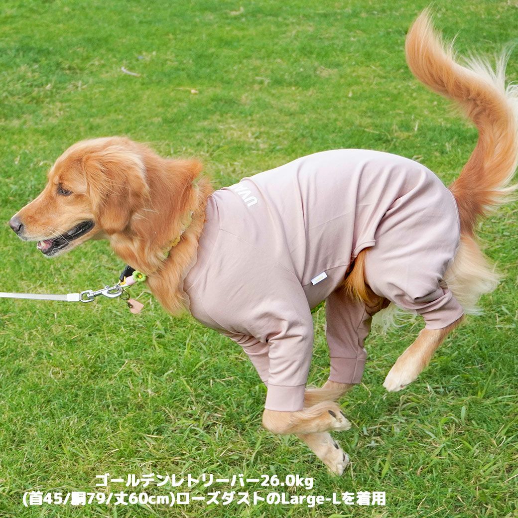 ゴールデンレトリーバー26.0kg(首45/胴79/丈60cm)のベルちゃんはローズダストのLarge-Lを着用