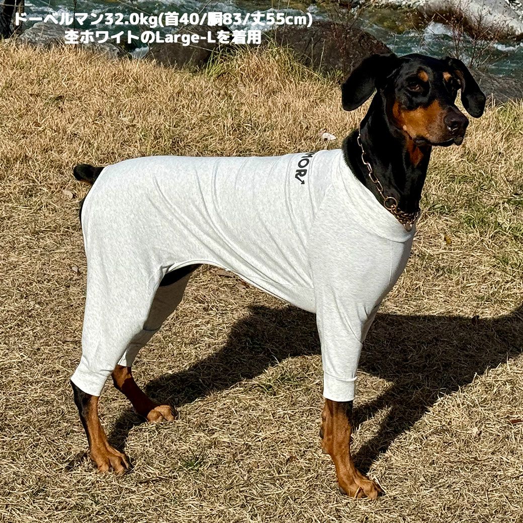 ドーベルマン32.0kg(首40/胴83/丈55cm)のクララちゃんは杢ホワイトのLarge-Lを着用