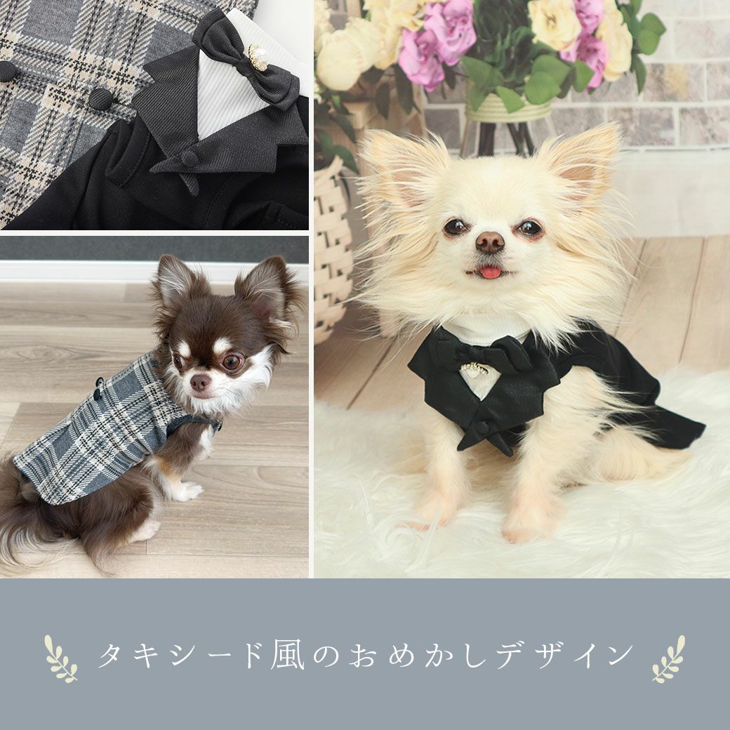 タキシード風のおめかしデザイン