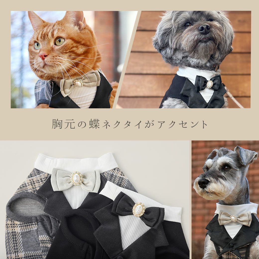 胸元の蝶ネクタイがアクセント
