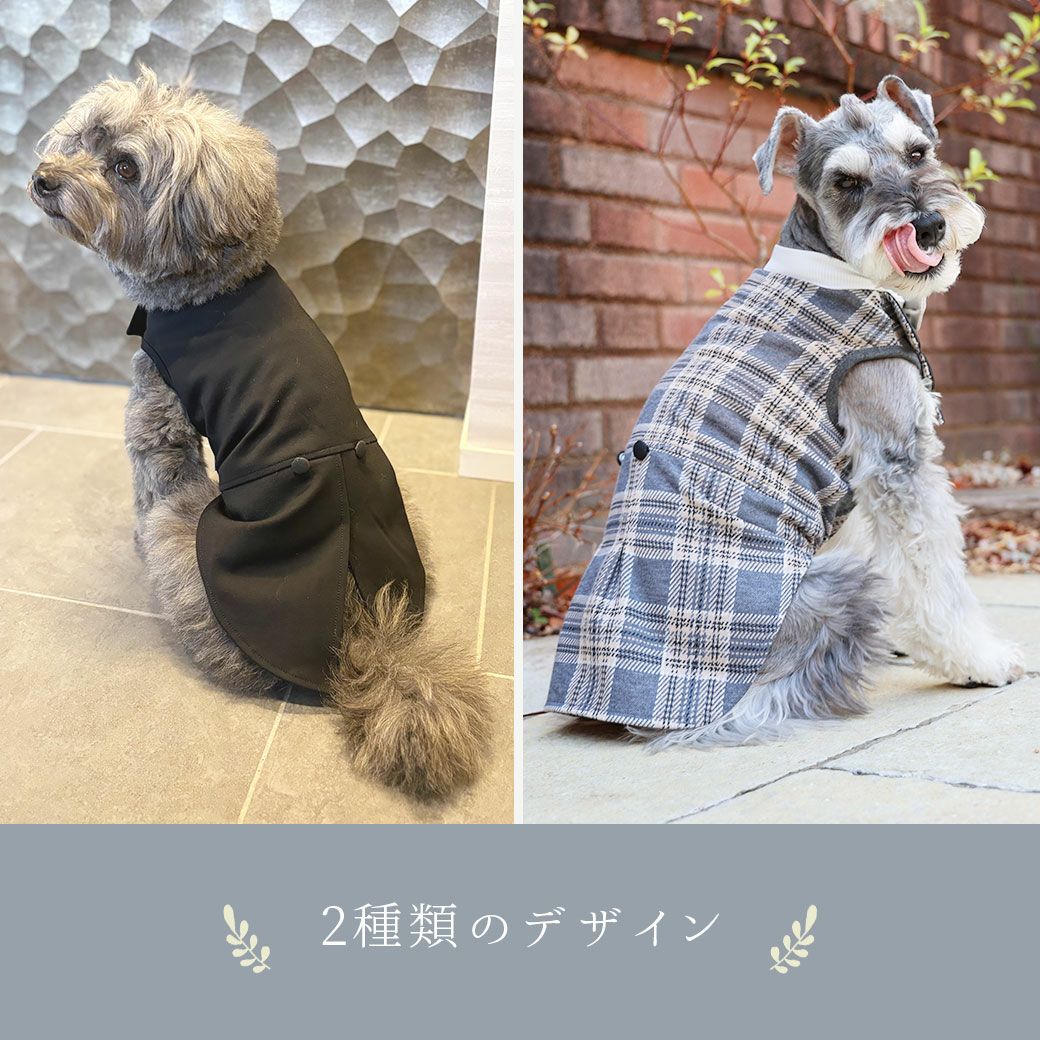 2種類のデザイン