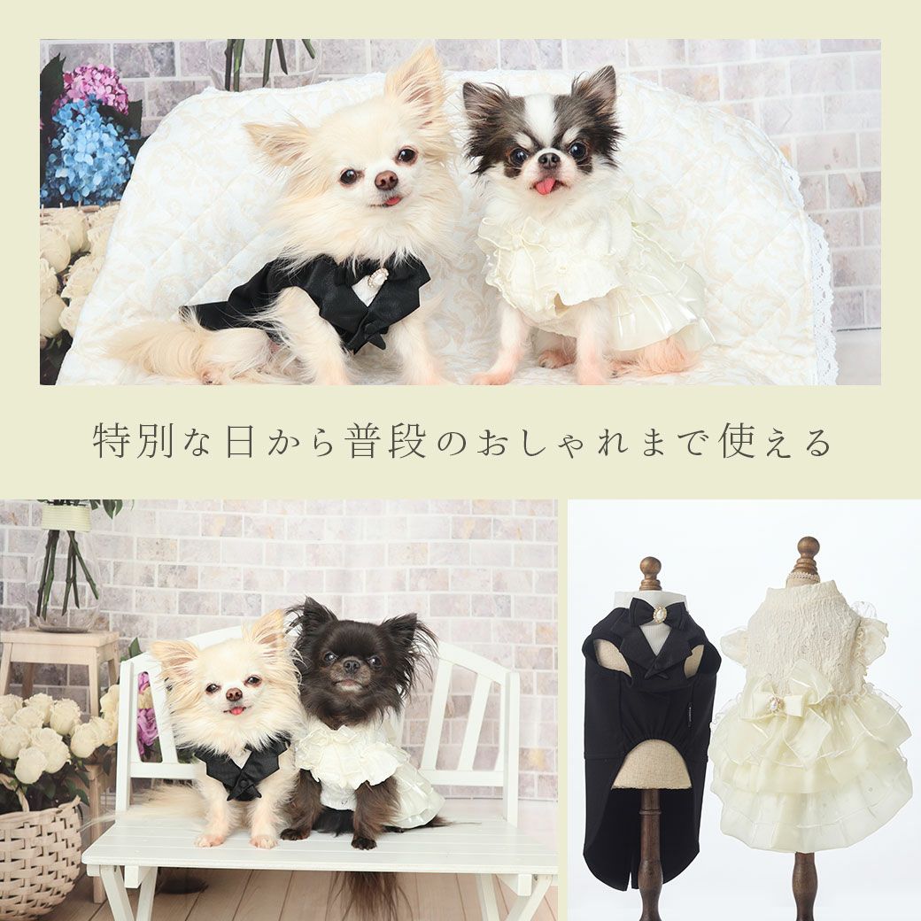 特別な日から普段のおしゃれまで使える
