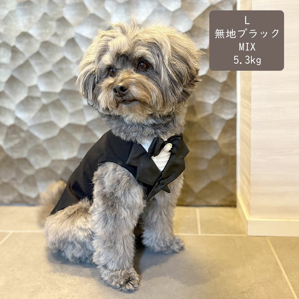 MIX5.3kg(首28/胴42/丈35cm)のごまくんは無地ブラックのLを着用