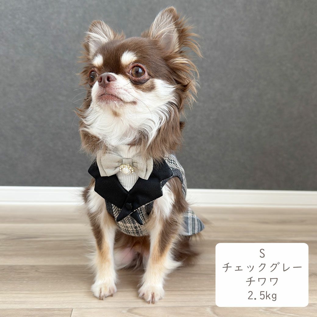 チワワ2.5kg(首18.5/胴30/丈30cm)のピクルスくんはチェックグレーのSを着用