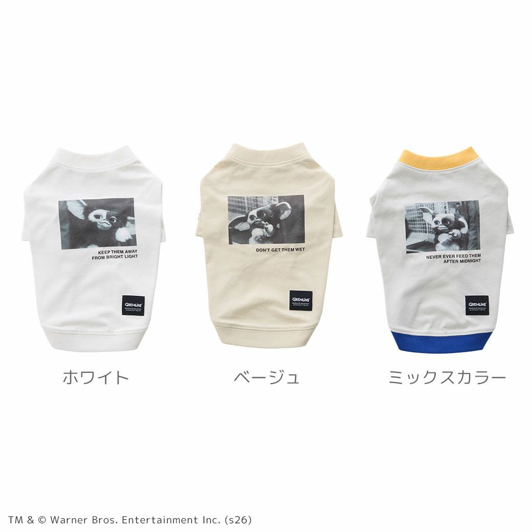 全３カラー