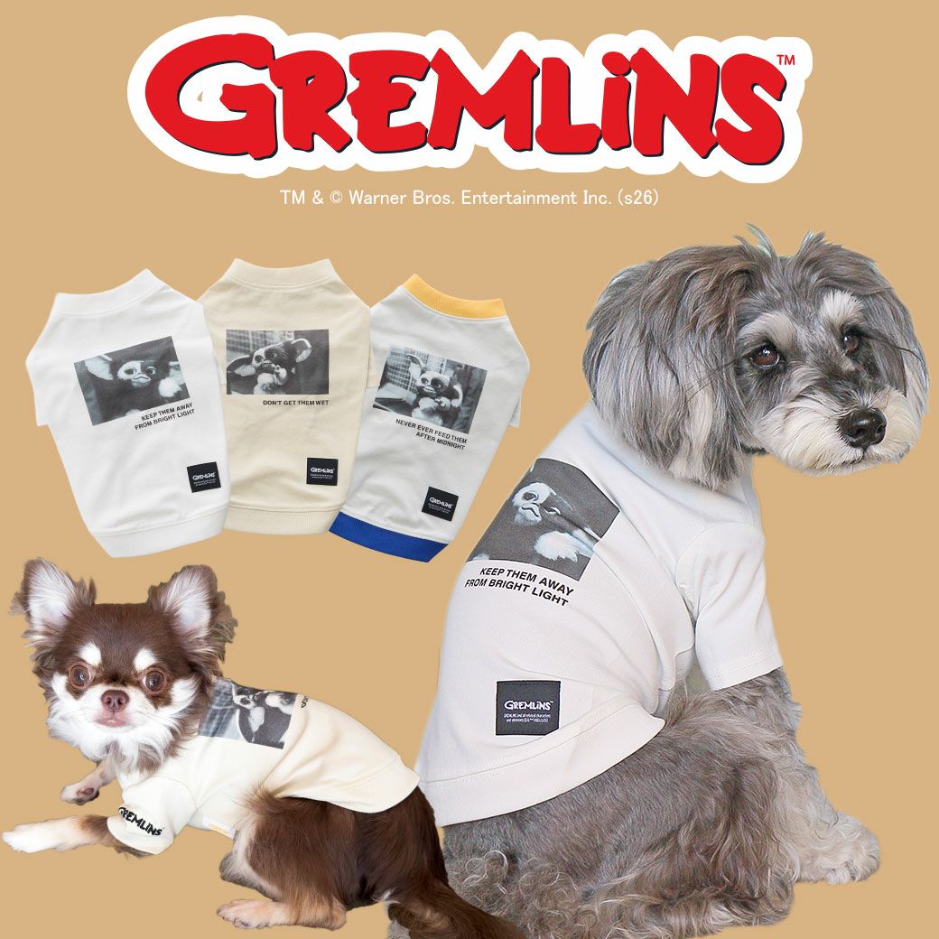 GREMLINS