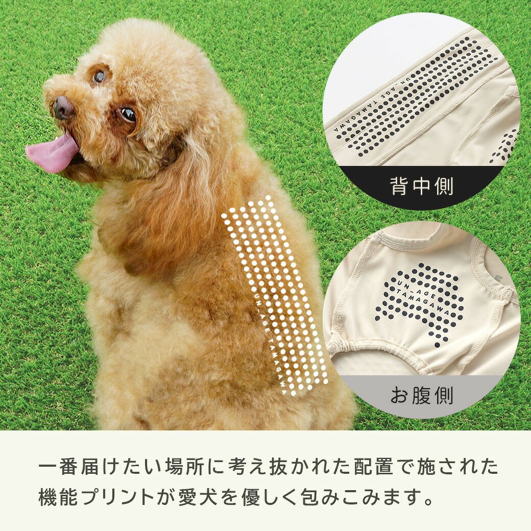 UN_AGETAMAGAWA背中開きタンク