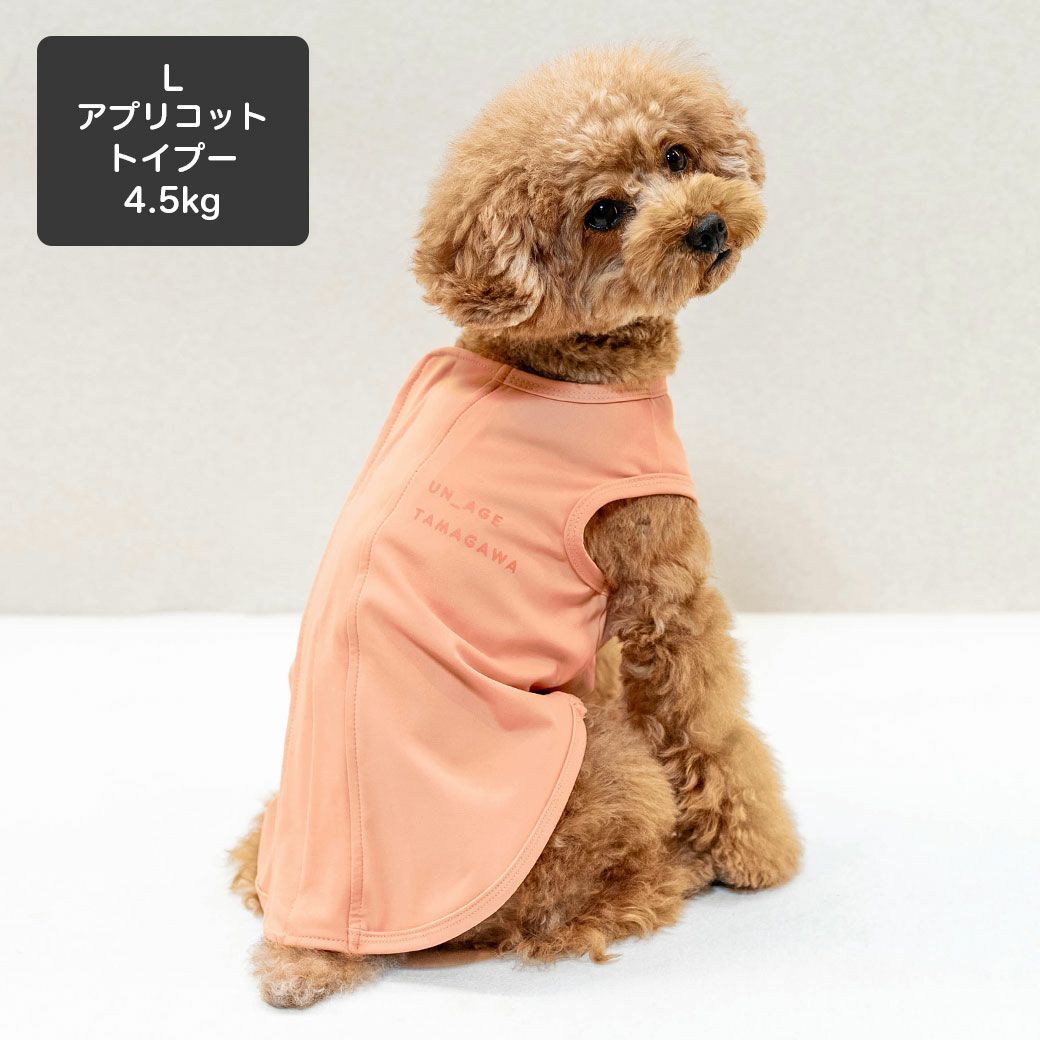 トイプードル4.5kg(首26/胴40.5/丈30cm)の里梨衣ちゃんはアプリコットのLを着用