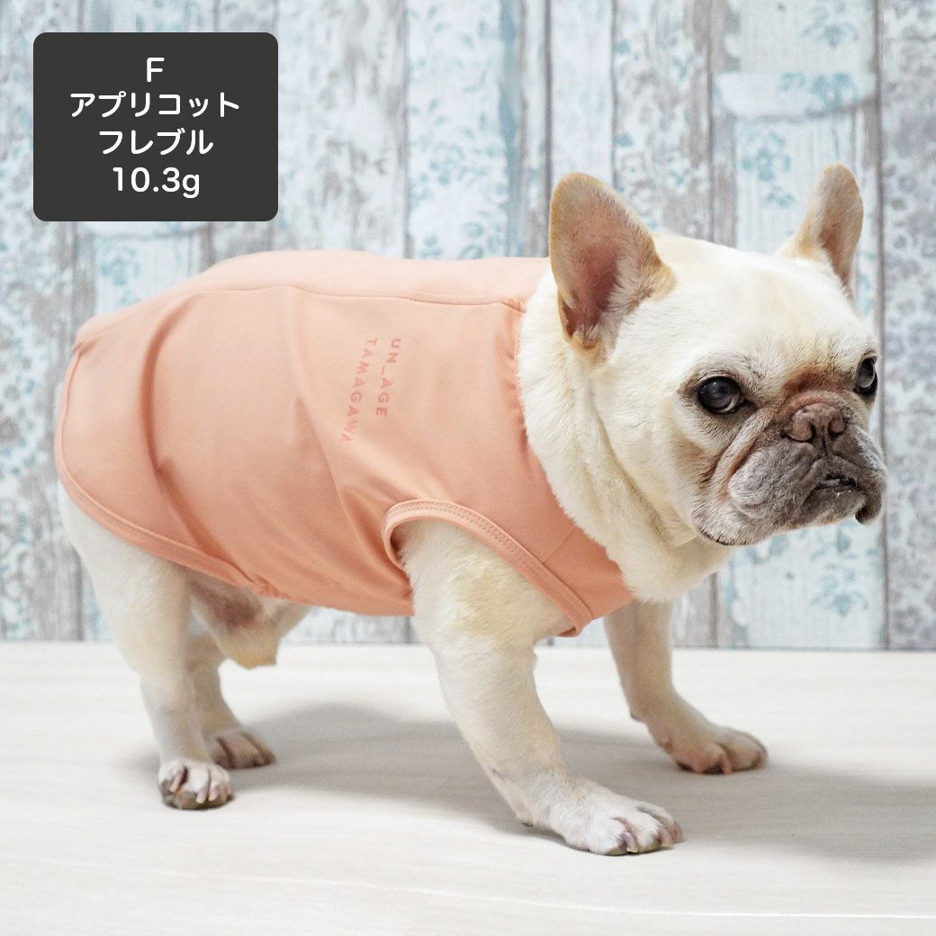 フレブル10.3kg(首38/胴56/丈34cm)のブランくんはアプリコットのFを着用