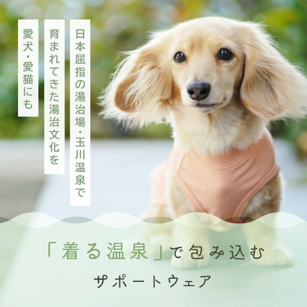 「着る温泉」で包み込むサポートウェア