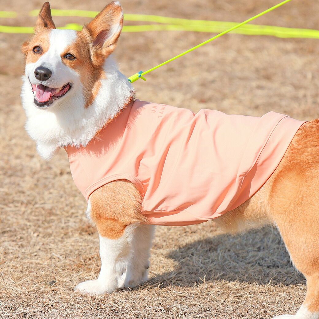 シンプルデザイン