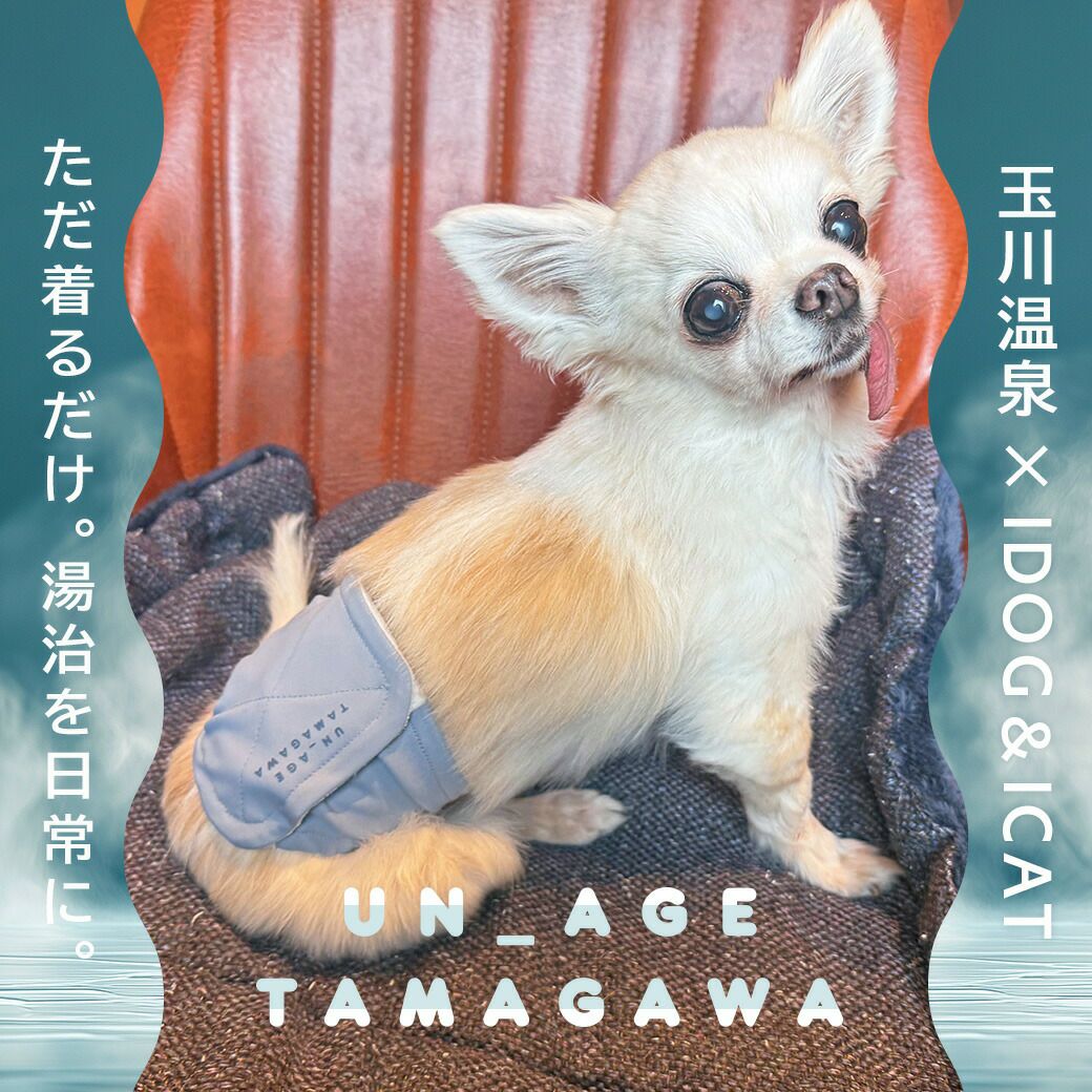 UN_AGETAMAGAWAペット腹巻きアイドッグ