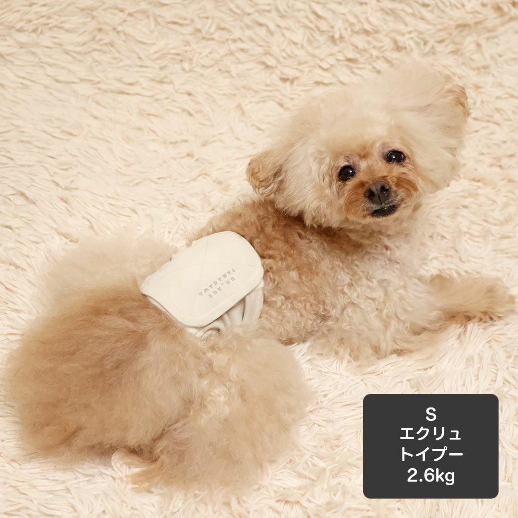 トイプー2.6kg(首20/胴32/丈25cm)のマイちゃんはエクリュのSを着用