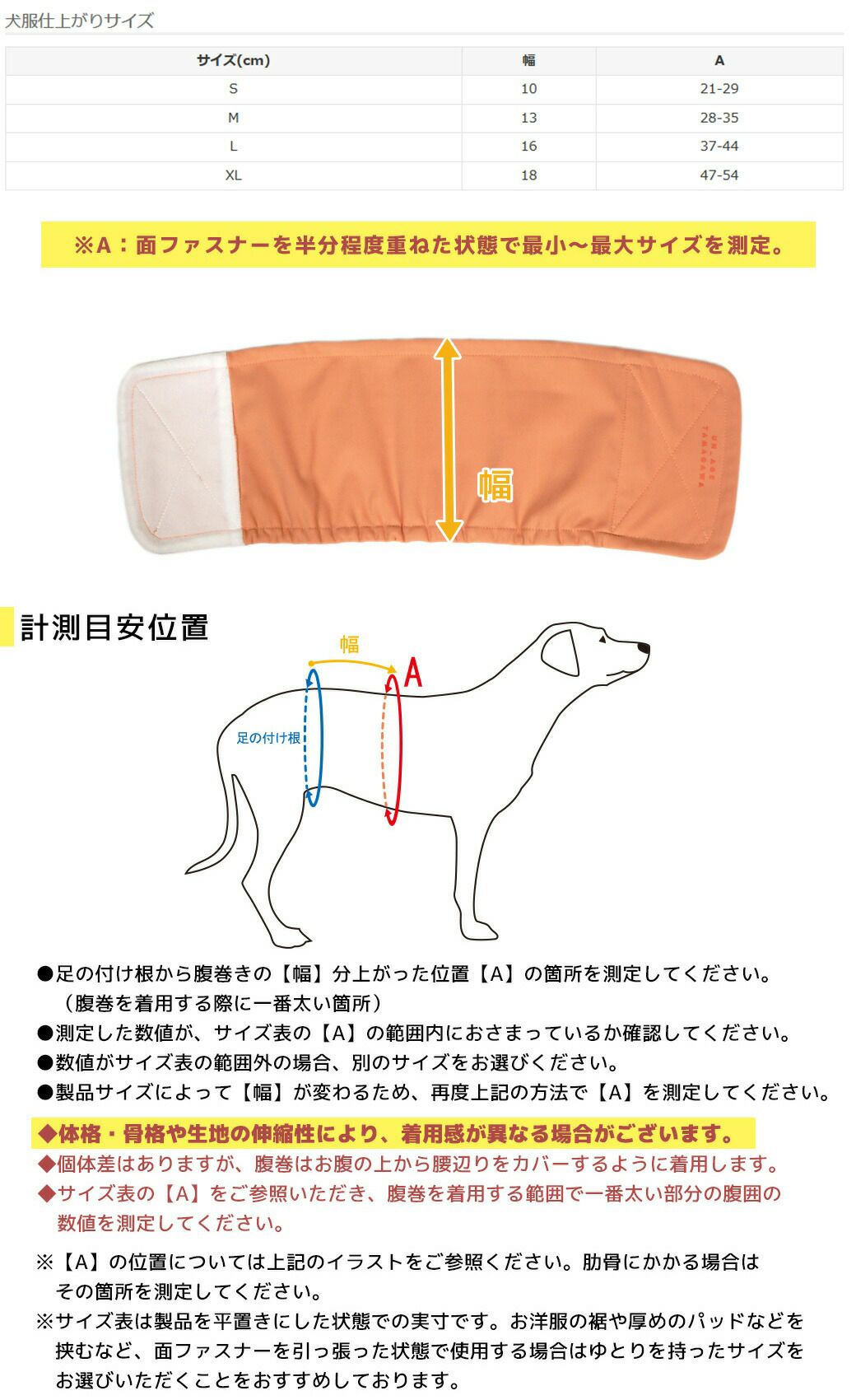 サイズ表